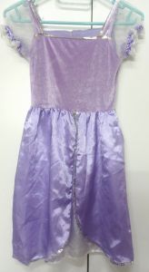 Kids Costumes to Hire - Princess Lilac Dress - GIRL